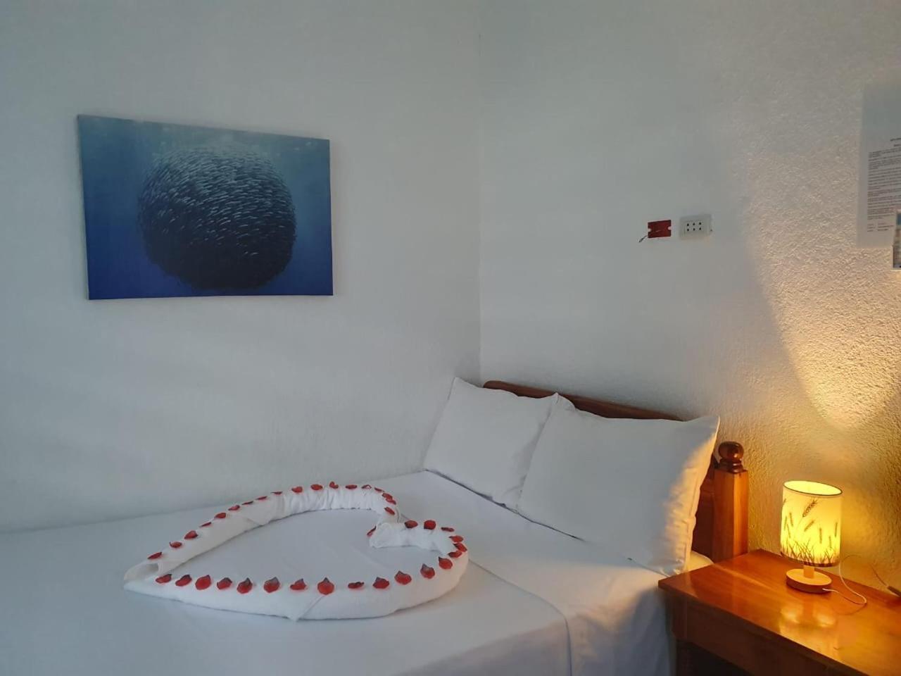Jah'S Anemone Dive Guesthouse Moalboal Exterior photo