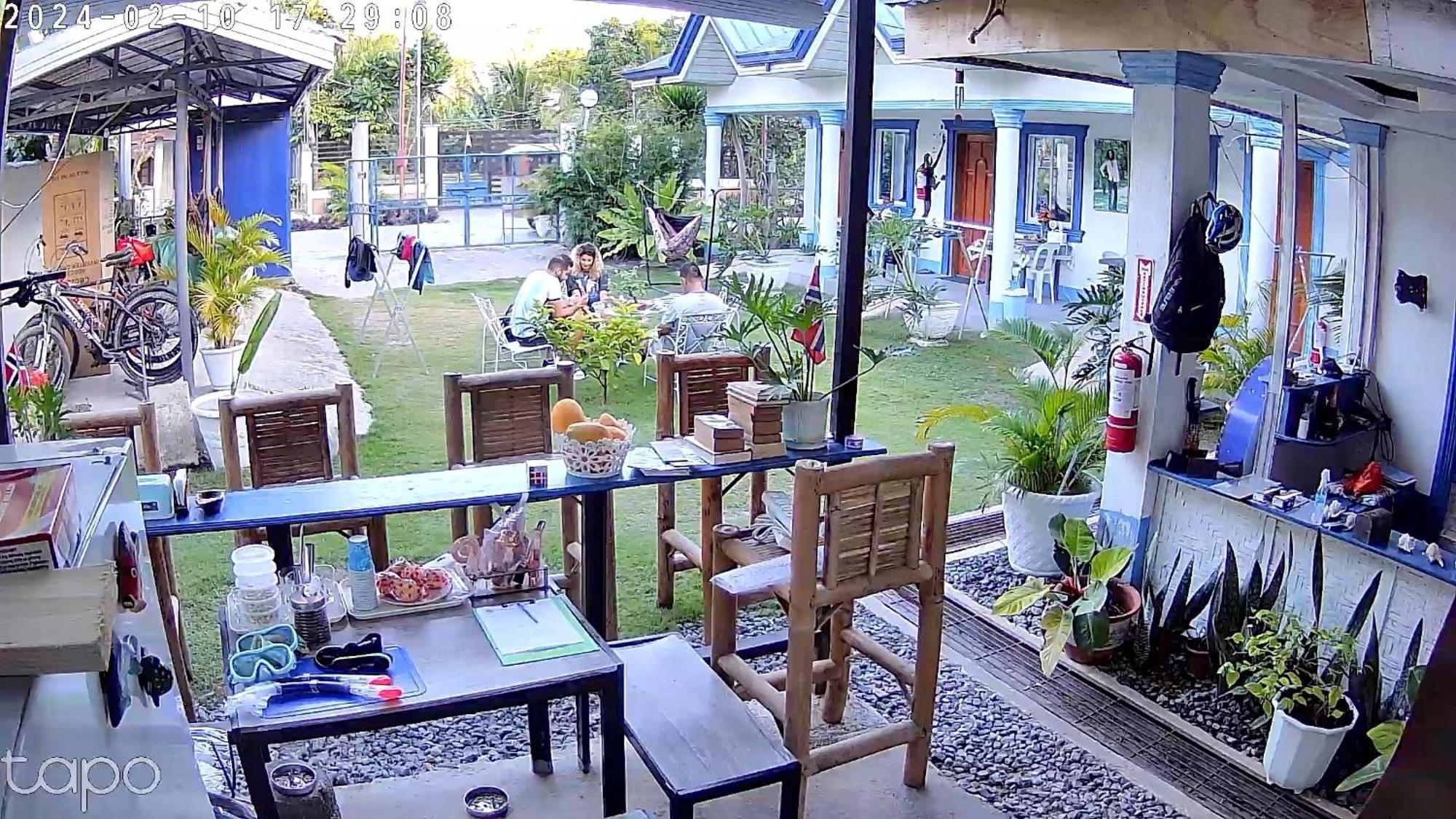 Jah'S Anemone Dive Guesthouse Moalboal Exterior photo