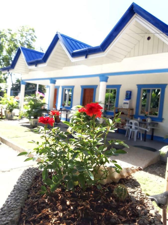 Jah'S Anemone Dive Guesthouse Moalboal Exterior photo